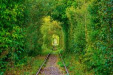 12 Day Classic Romania